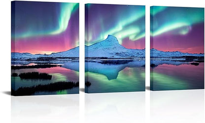 Brand new High definition Northern lights wall art each panel is 12x16”