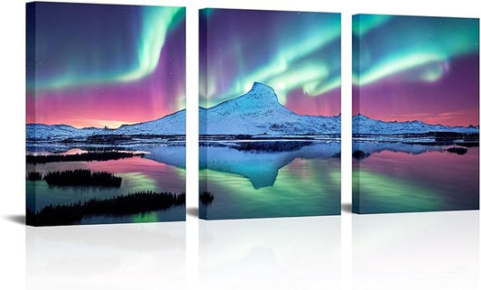 Brand new High definition Northern lights wall art each panel is 12x16”